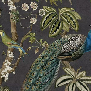 Enchanted Peacock Wilderness (Charcoal)