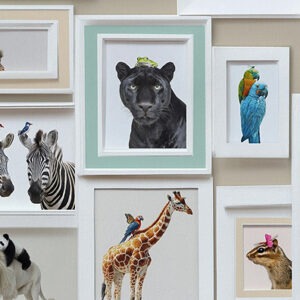 Wildly Wonderful Animal Gallery
